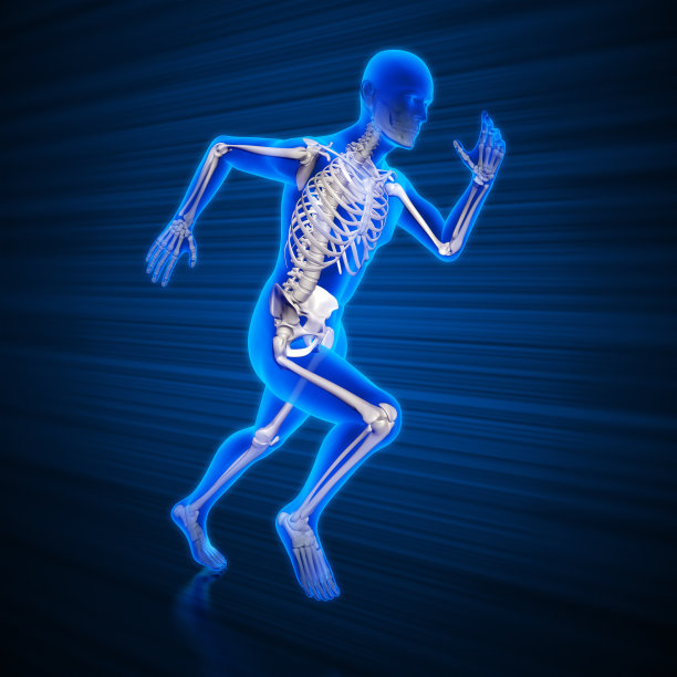 bone