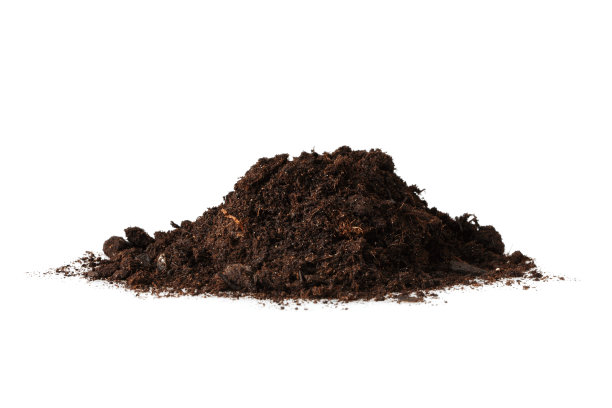 dirt