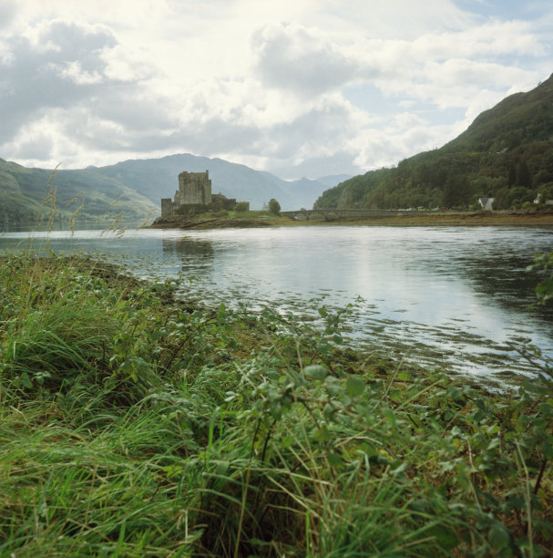 donan
