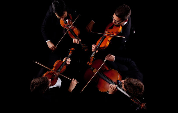 violin