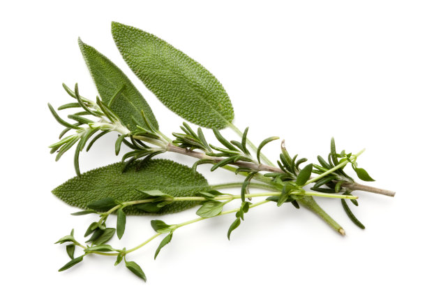 rosemary