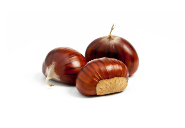 chestnut