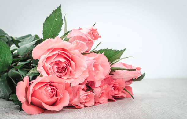 roses