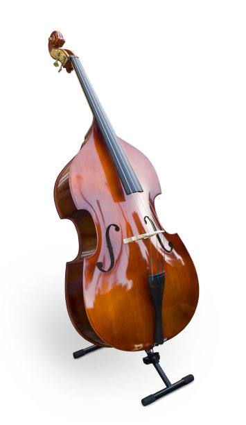 bass