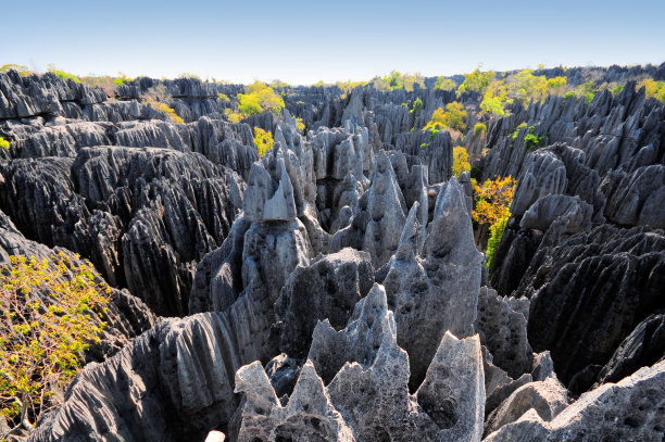 madagascar