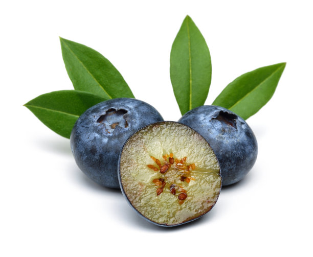 ericaceae