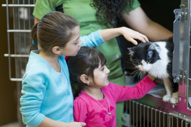 adopted