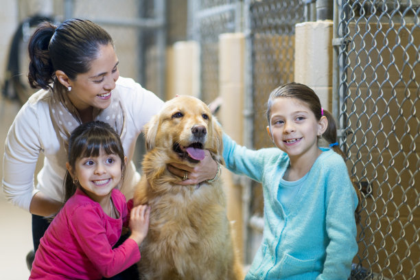 adopted