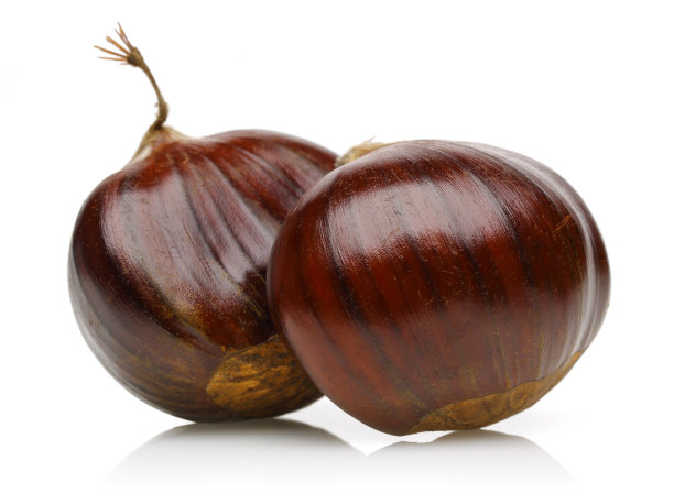 chestnut