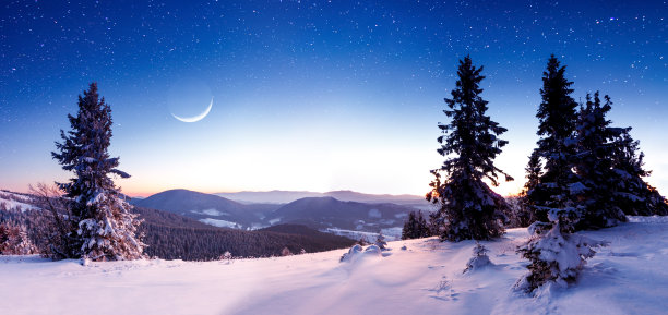 夜下雪景