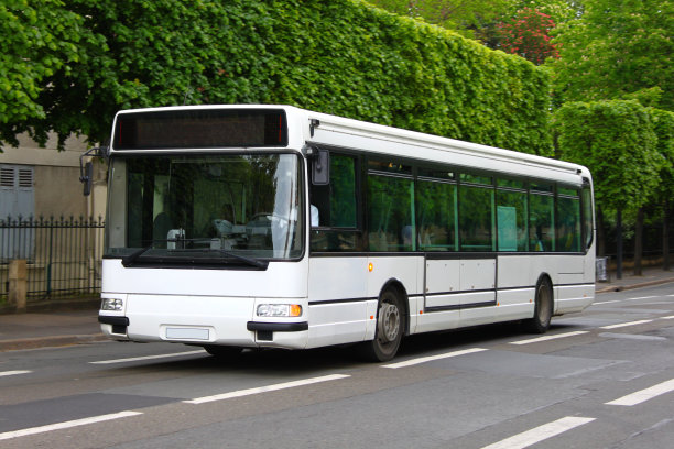 bus