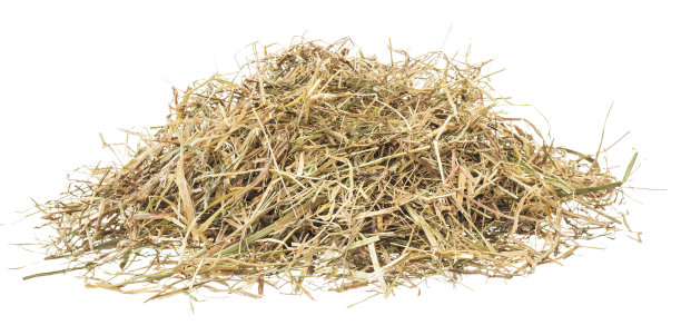 hay