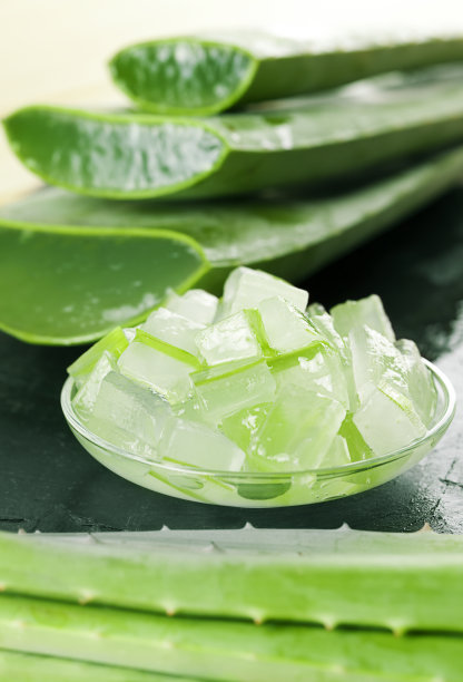 aloe
