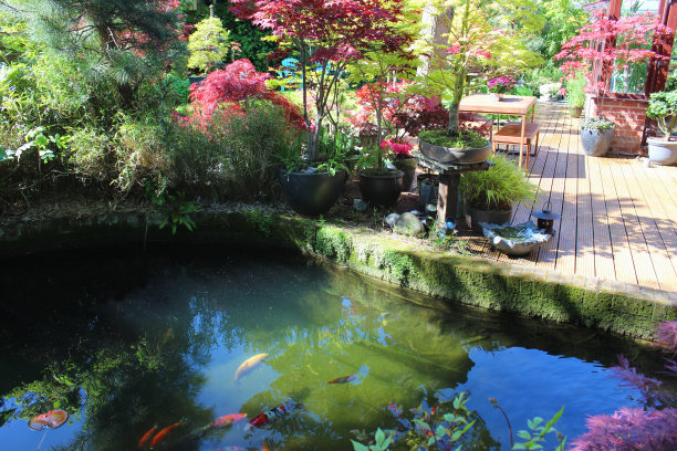 ponds