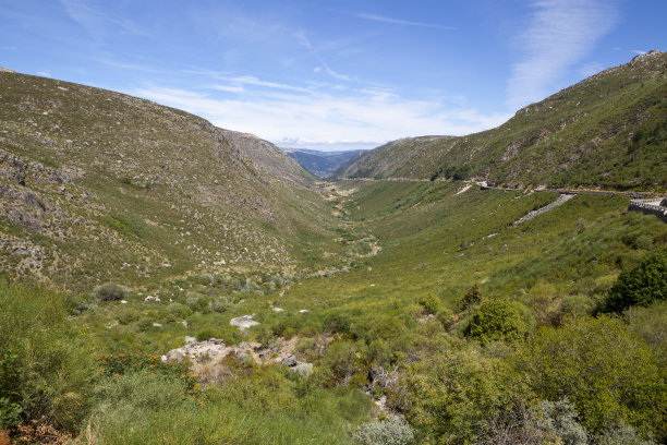 guarda