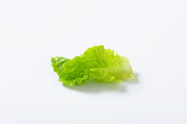 lactuca