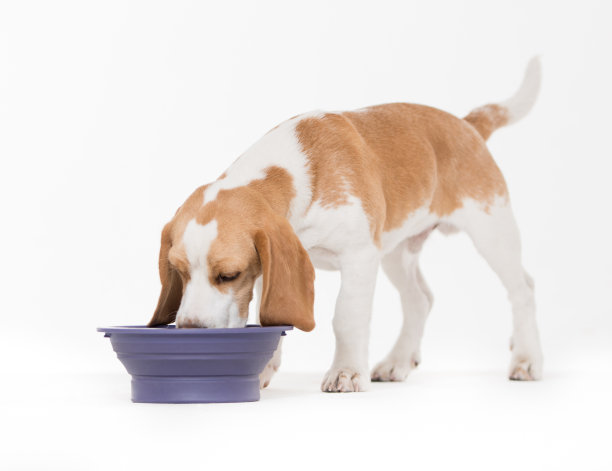 eating