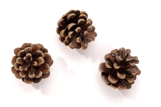 cone