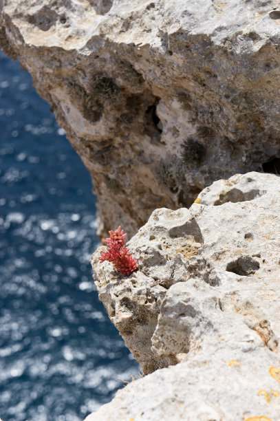 cliffs