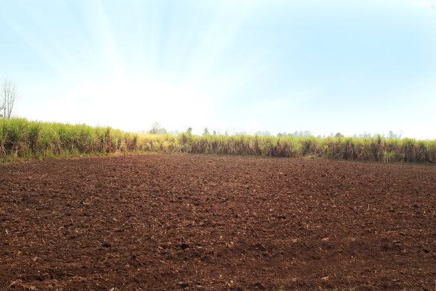 ground