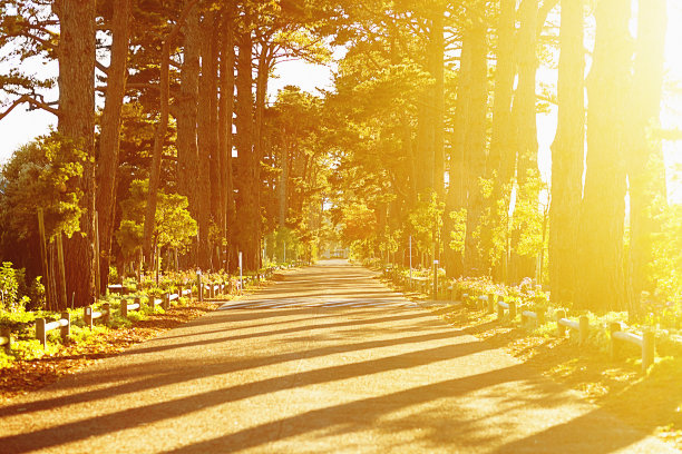 avenue