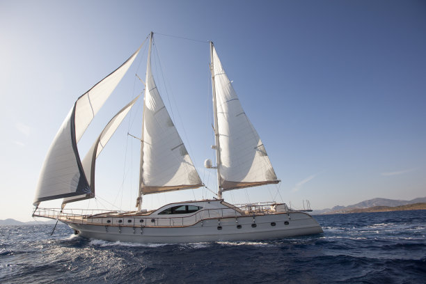 高端活动背景板