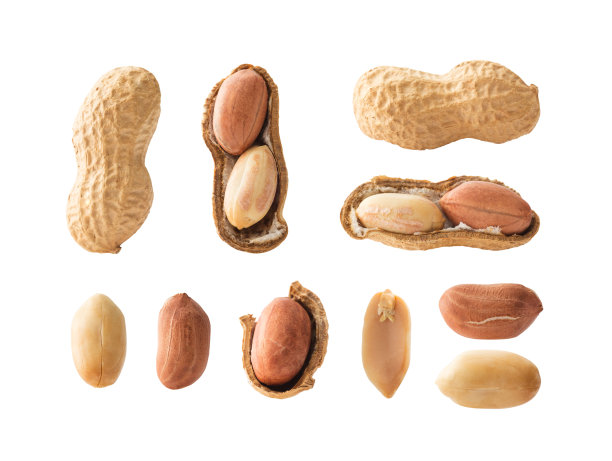 peanut