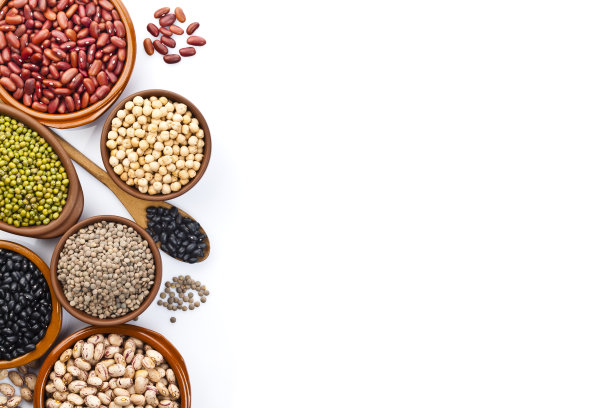 legume