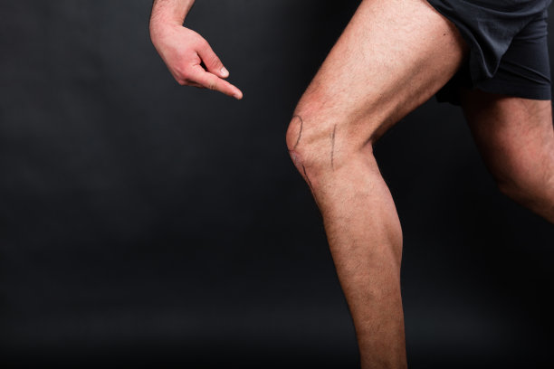 tibia