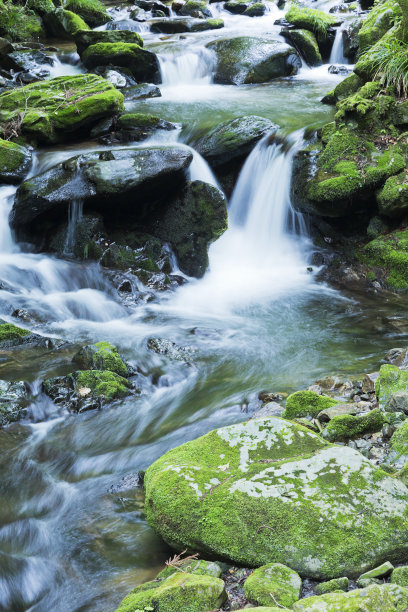 stream