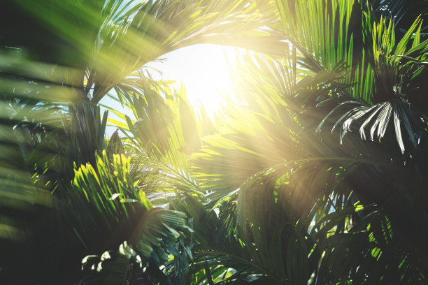 exotic