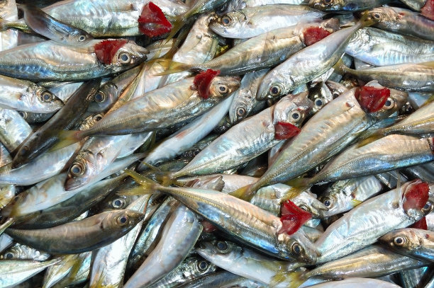 aji