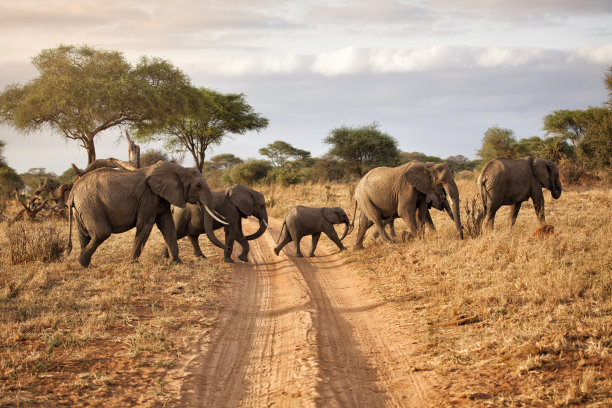 tanzania