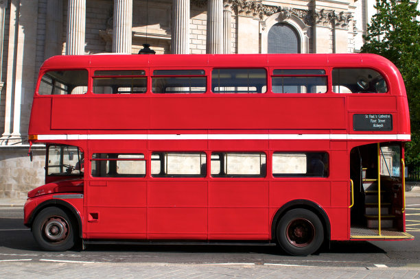 bus