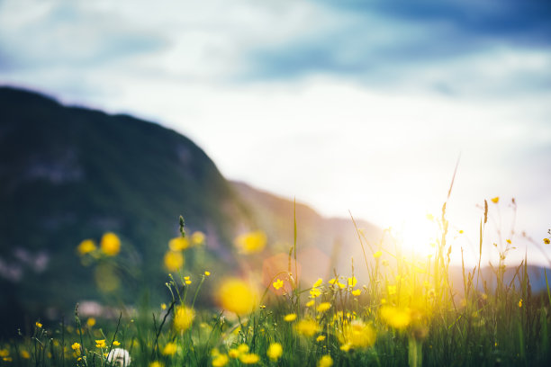 春天百花盛开万物复苏