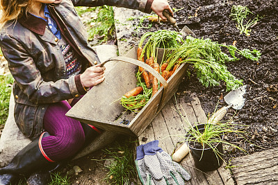 horticulture