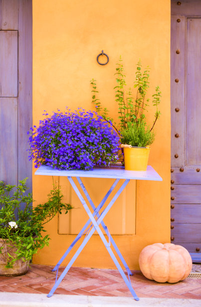 provence