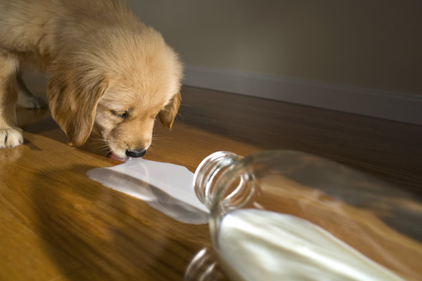 spilled