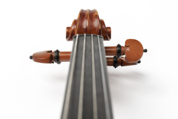 violin