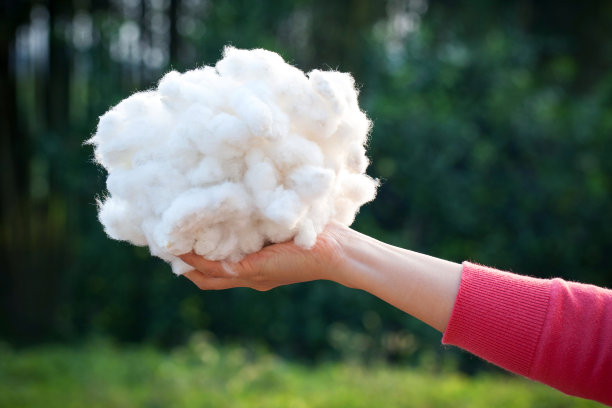cotton