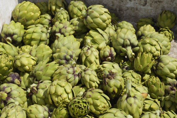 artichoke