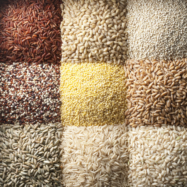 小米粮食杂粮米粒