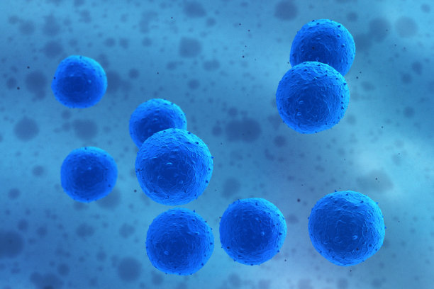 cells