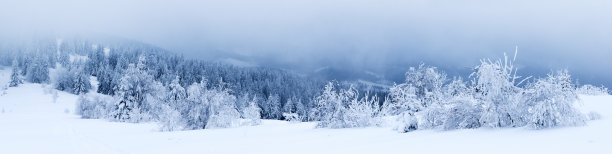 snow