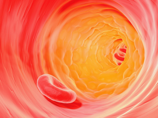 cholesterol