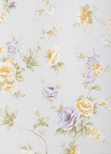 toile