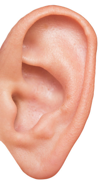 ear