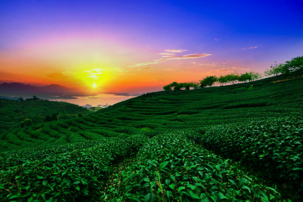 fujian