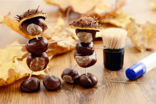 chestnut
