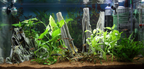 aquarium